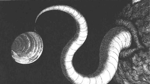 诡异行星逼疯地球人,只有流浪汉敢说真话-伊藤润二《地狱星》4