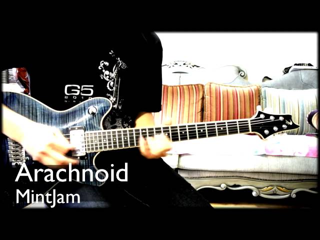 mintjam - arachnoid guitar cover (demo size