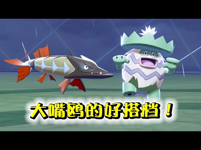 精灵宝可梦剑盾34b看看人家的雨天队多合理!大嘴鸥的两个黄金搭档!