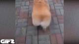 降速的童话镇,别有一番风味