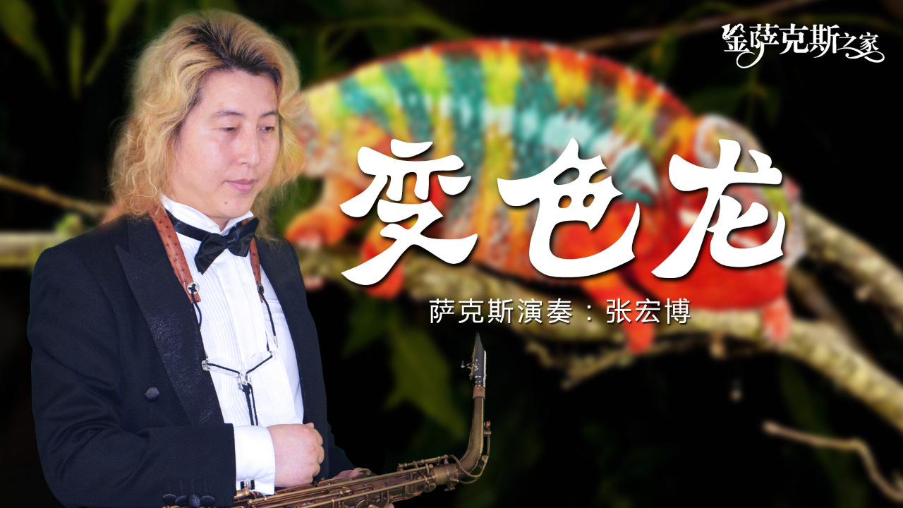 流行金曲秋恋萨克斯版深情悠扬mv欣赏加逐句讲解试看