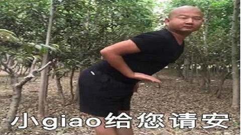 黑猫警长giao哥表情包合集