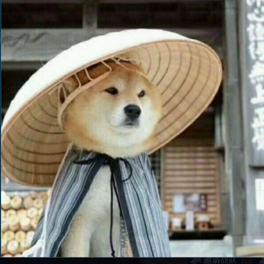 王雷直播 / 卖鱼哥 / 王雷卖海鲜心酸史 11 我卖鱼哥又来了!