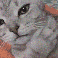 [img=图片]https://imgs.aixifan.com/content/2020_05_18/1.