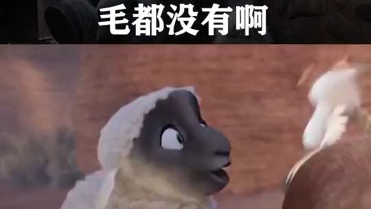 毛都没有了