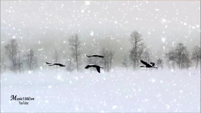 陳瑞《水墨雪》