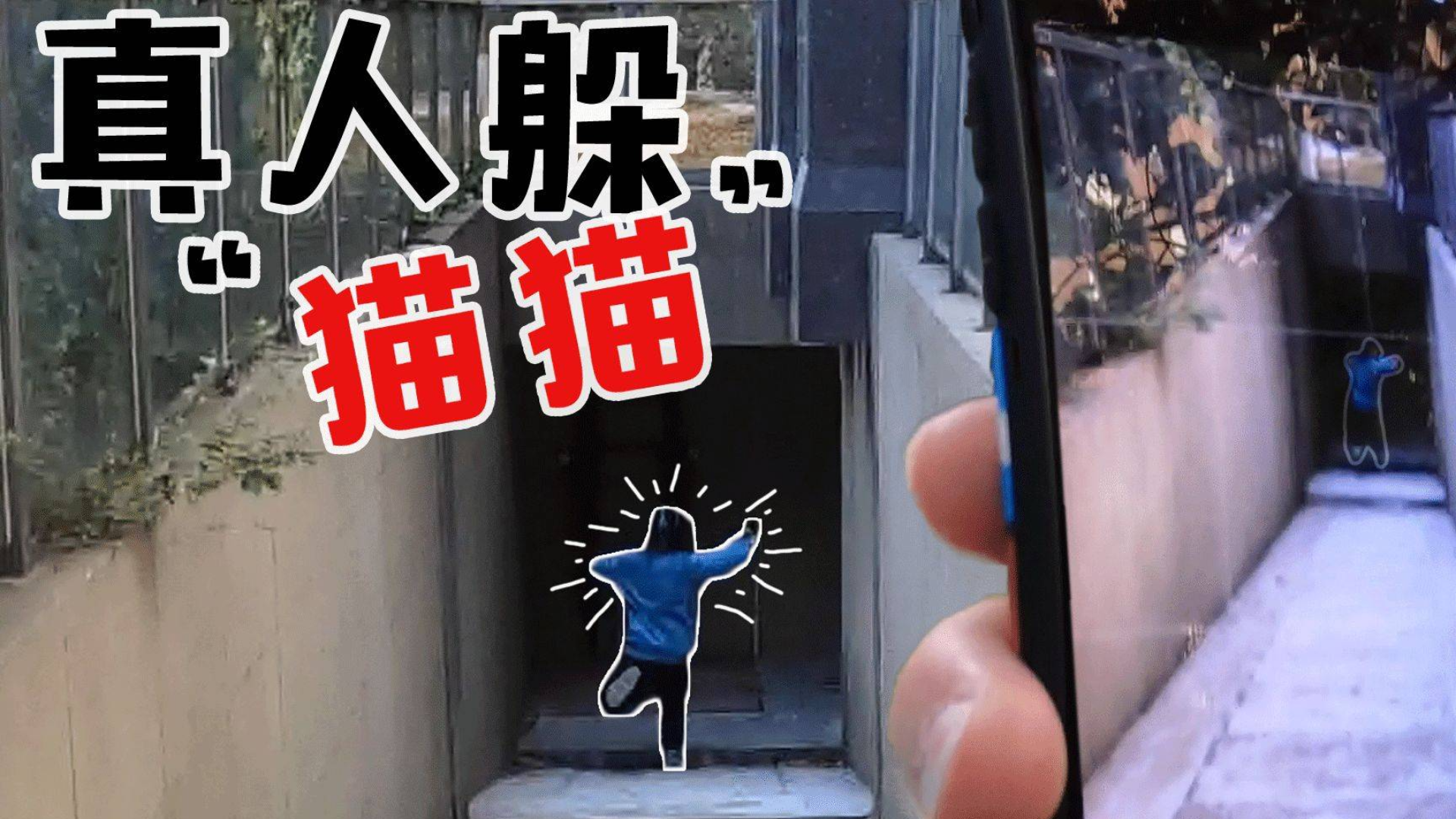 真人躲猫猫,手机拍到就算输,刺激!