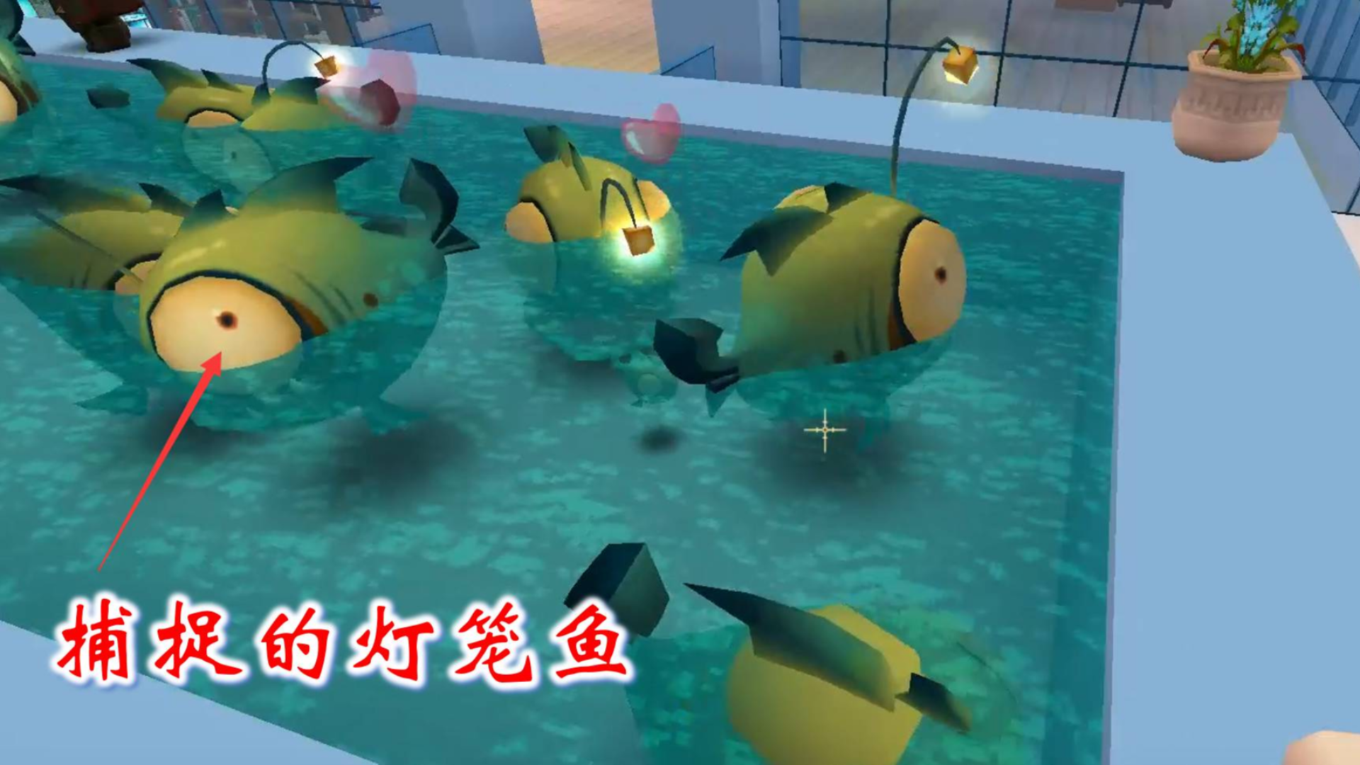 灯笼鱼