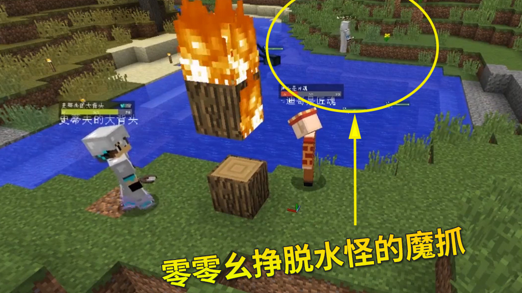 脚滑鸡