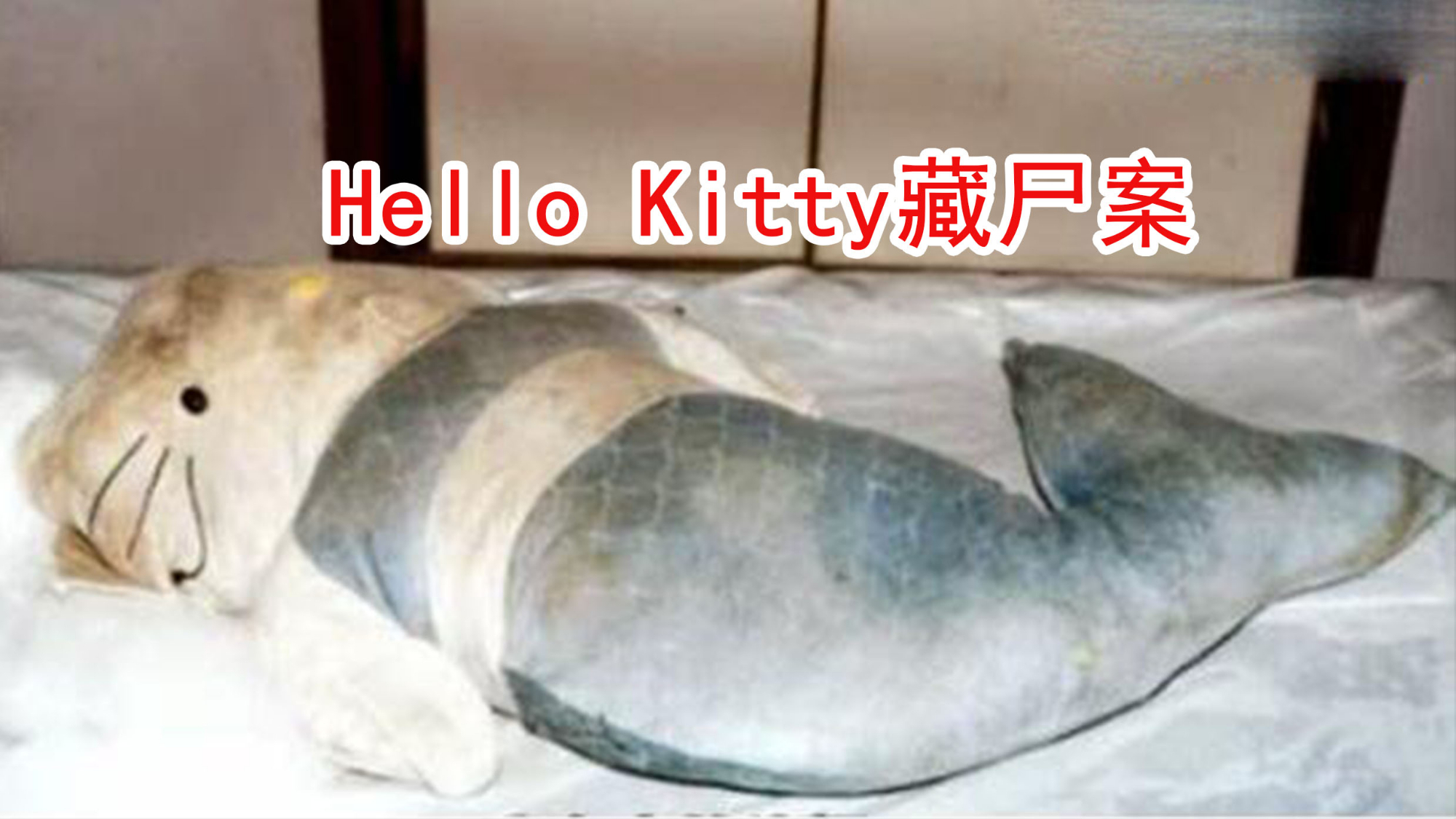 hello kitty 藏尸案,凶手竟用hello kitty藏头