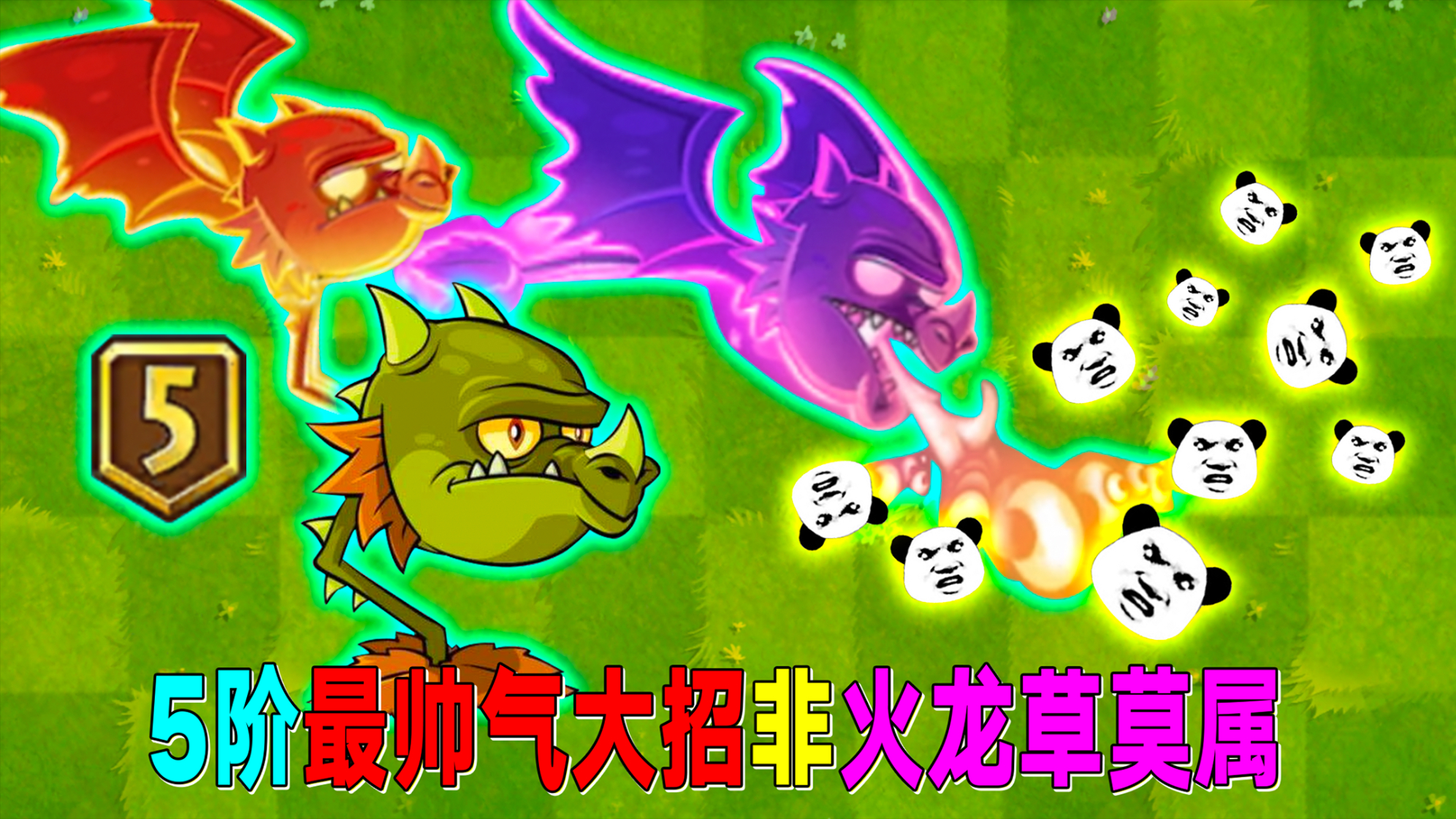 pvz2:5阶火龙草有多厉害?追击6阶僵尸根本不放在眼里!