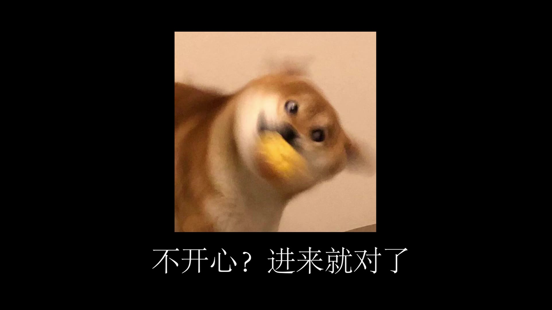 今天你笑了吗