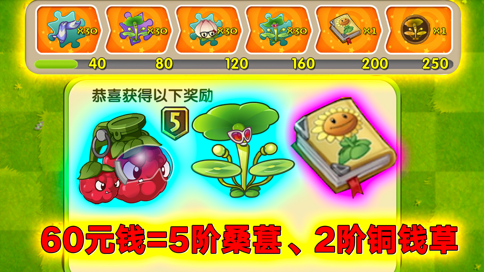 pvz3:60元拿下进阶书,5阶桑葚即将毕业!