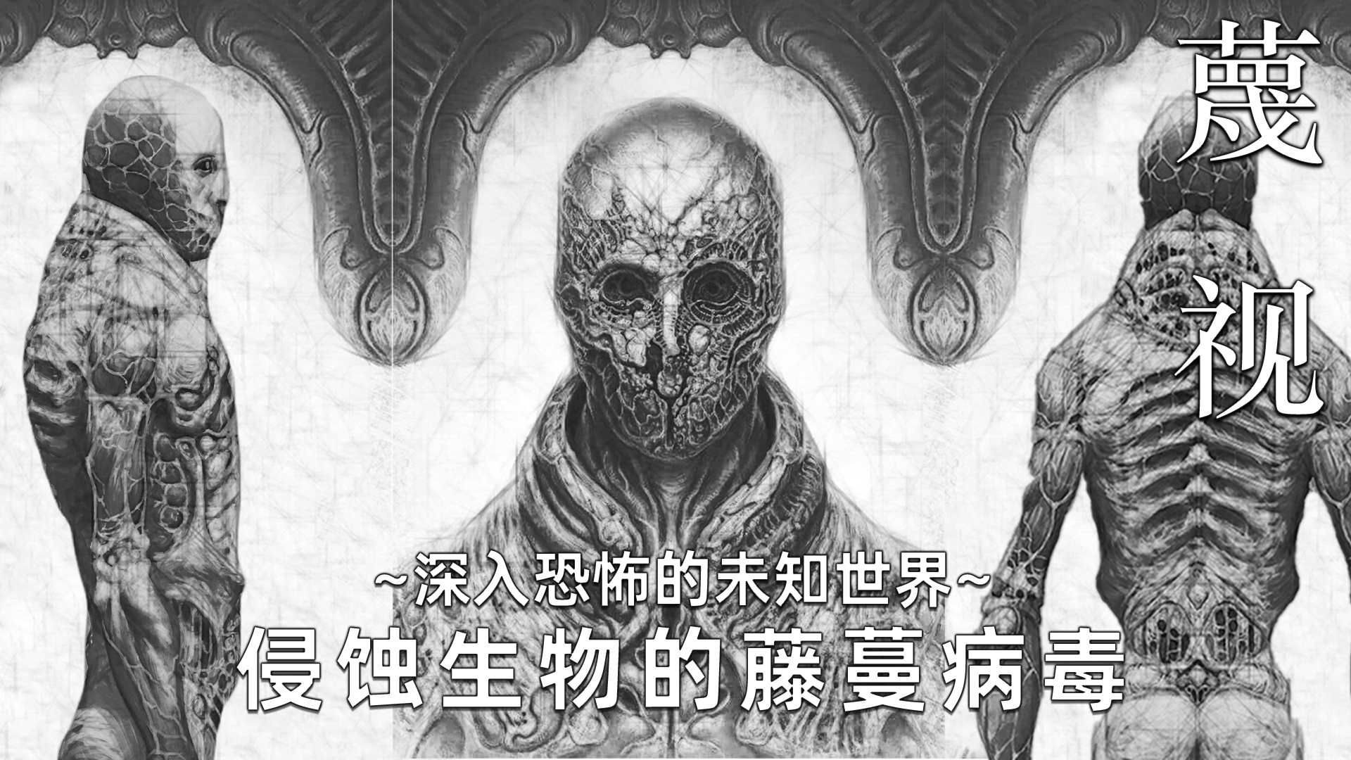 教你如何在《steam》上免费领取13款大游戏