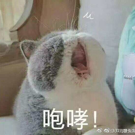 呲溜呲溜呲溜