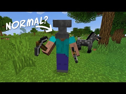 herobrine dislike steve. true story