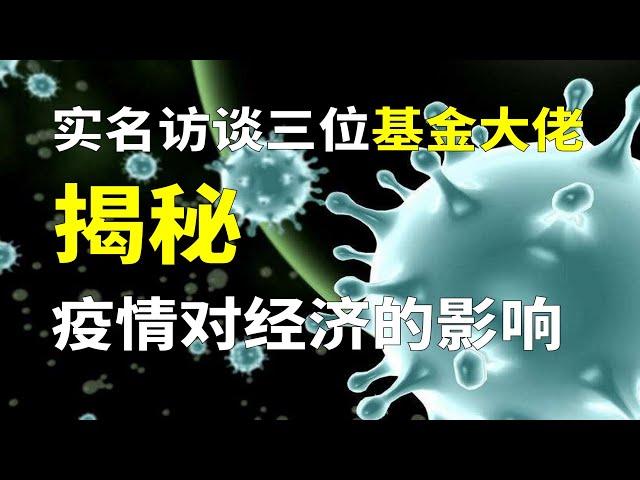 新型冠状病毒肺炎疫情对大家经济生活以及中国经济造成什么影响 实名访谈3位基金大佬 财经圆桌访谈主题2 上