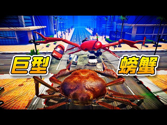 crab fight 螃蟹大战01: 大闸蟹vs大红蟹