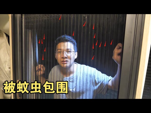 房车驻扎户外,蚊子能把人吃了!如果到夏天太恐怖了