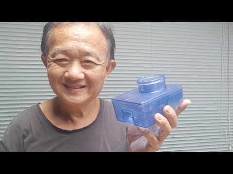 练氏蟑螂屋 开箱 爱迪先生