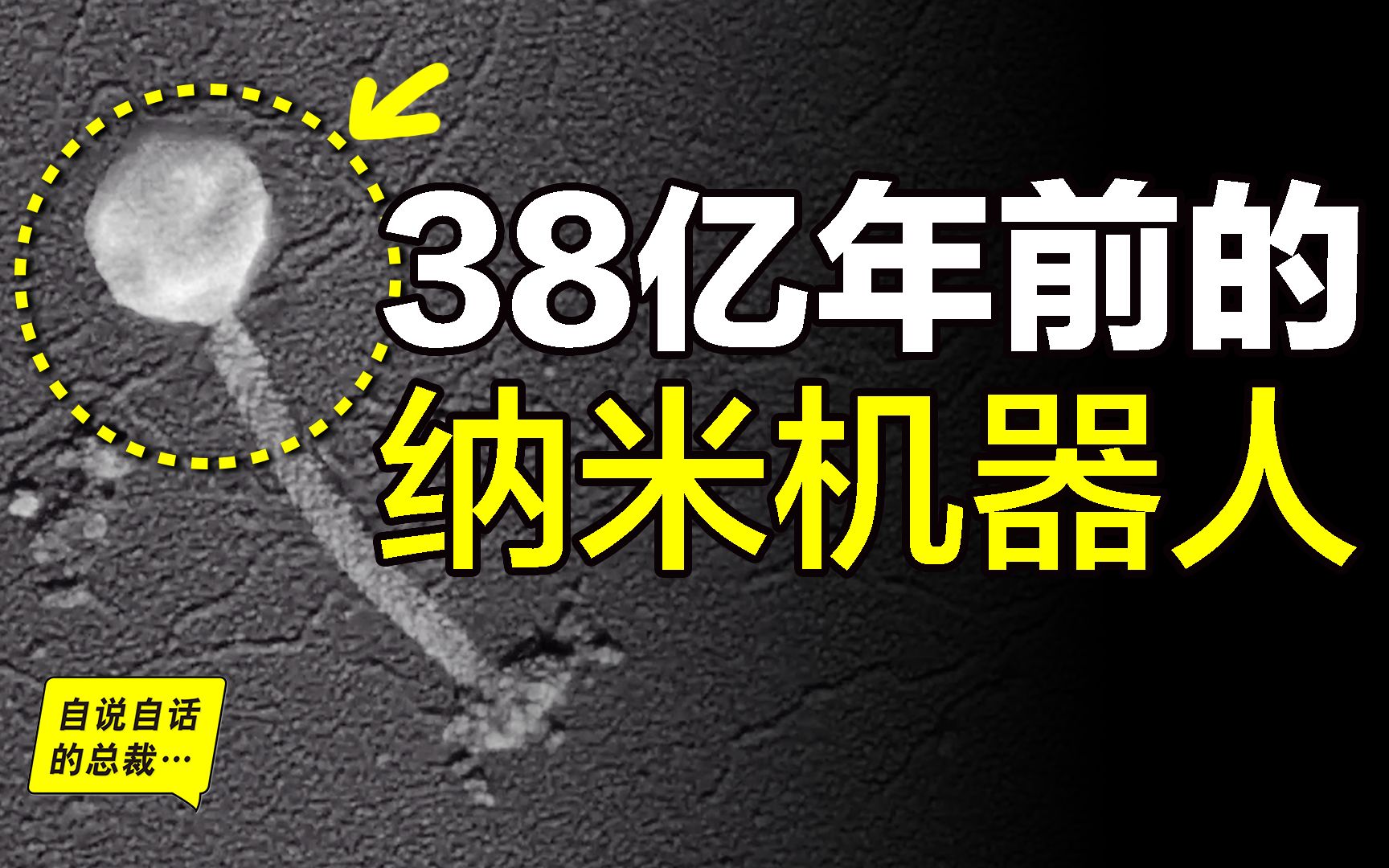 心脏手术后胸口无法愈合, 科学家为何在老人胸腔注射病毒? 走出科学之38亿年前的“纳米机器人”