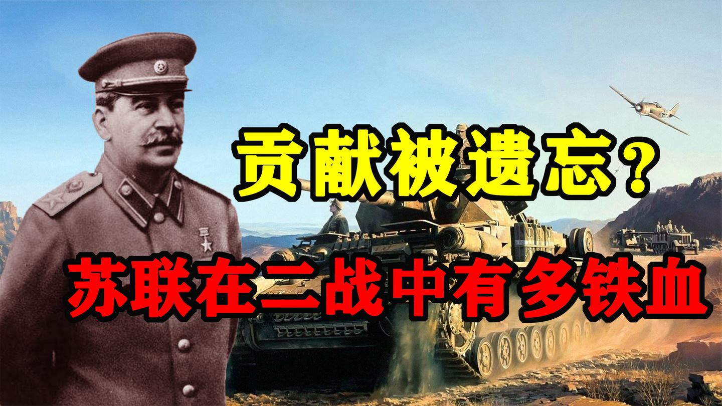 打光一代人, 苏联对二战到底做了什么贡献?