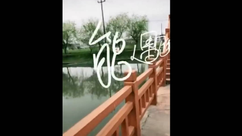 文字悬浮跟踪特效