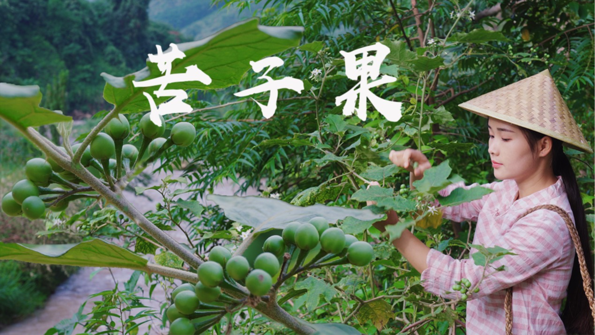 苦子果:它是一种山野小果,用来炖牛蹄烩番茄,都是独特的风味