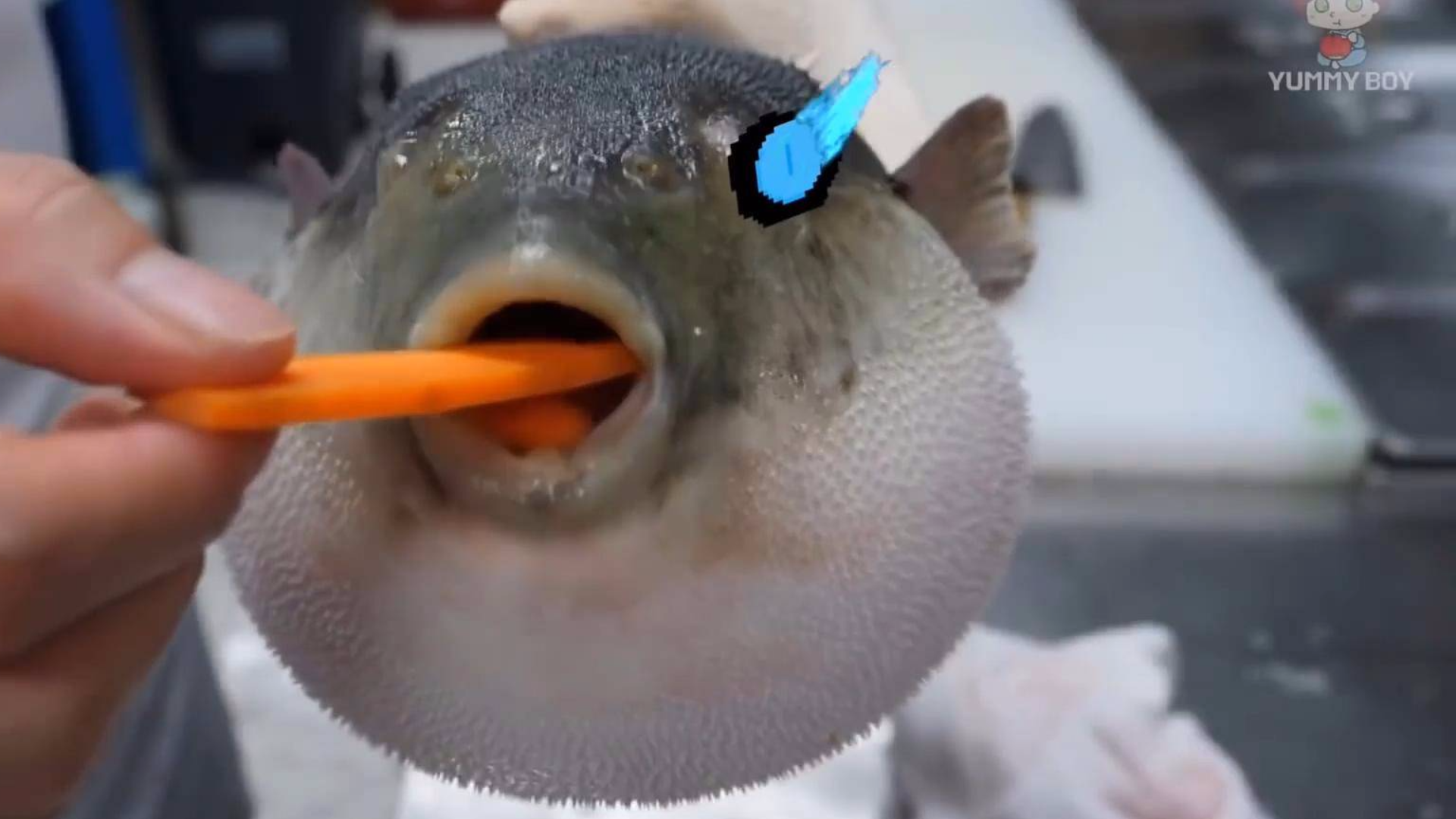 现代弥赛亚大结局每一场荒唐的闹剧都有结束的时候