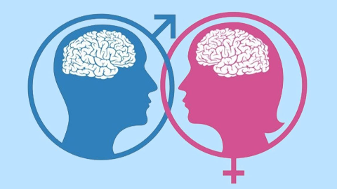 男生大脑vs女生大脑!谈恋爱时,男女脑回路差距有多大?