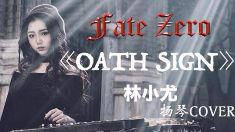 林小尤 扬琴 Fate Zero主题曲 Oath Sign