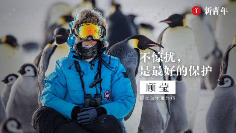 Mugen 这是我见过最帅的手操失忆草 不开bc纯目押55连