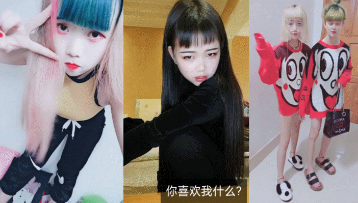 土味角虫加油打工人领袖你说好的不打工呢