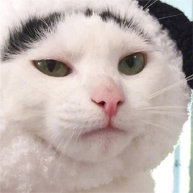 头像