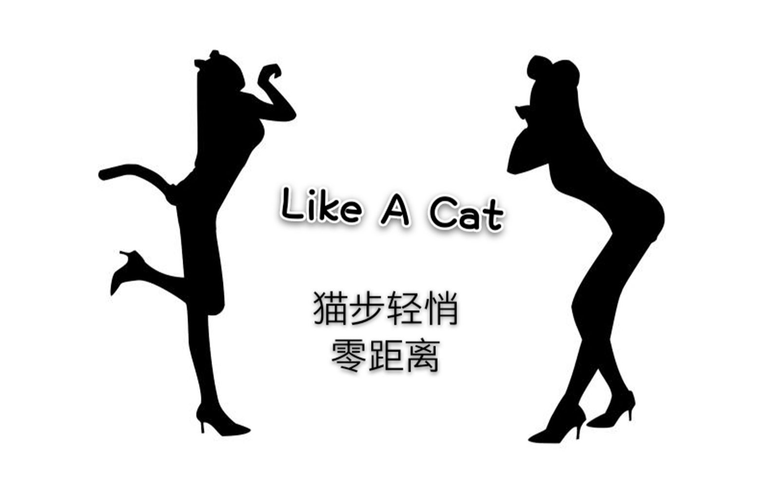 【金雅轩】史上最近竖屏 极度舒适谁有我离你近Like A Cat AOA猫步轻悄性感韩舞翻跳