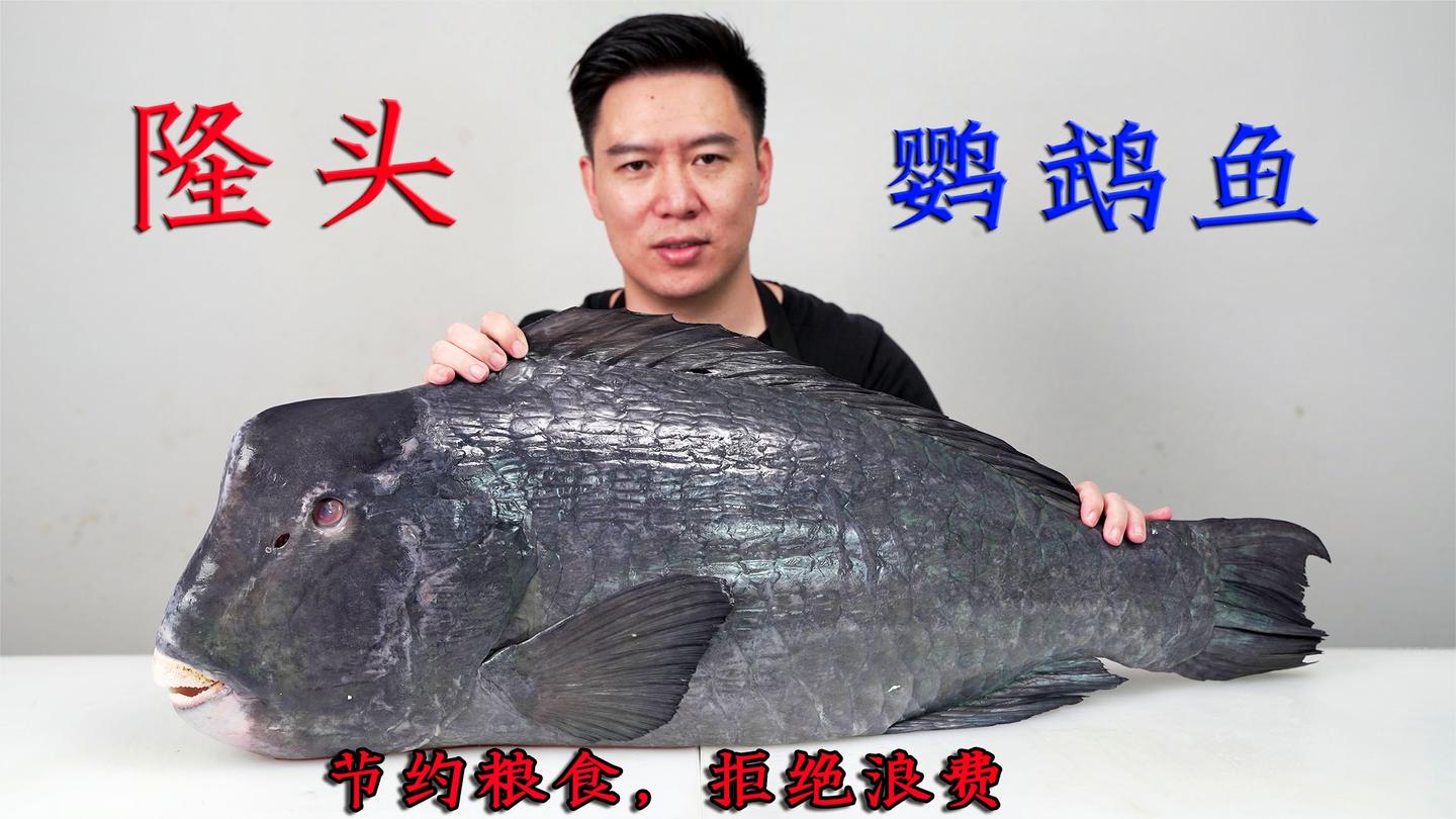 1250买一条鹦鹉鱼, 大龅牙能把礁石咬碎, 出锅后肉质紧实, 弹牙