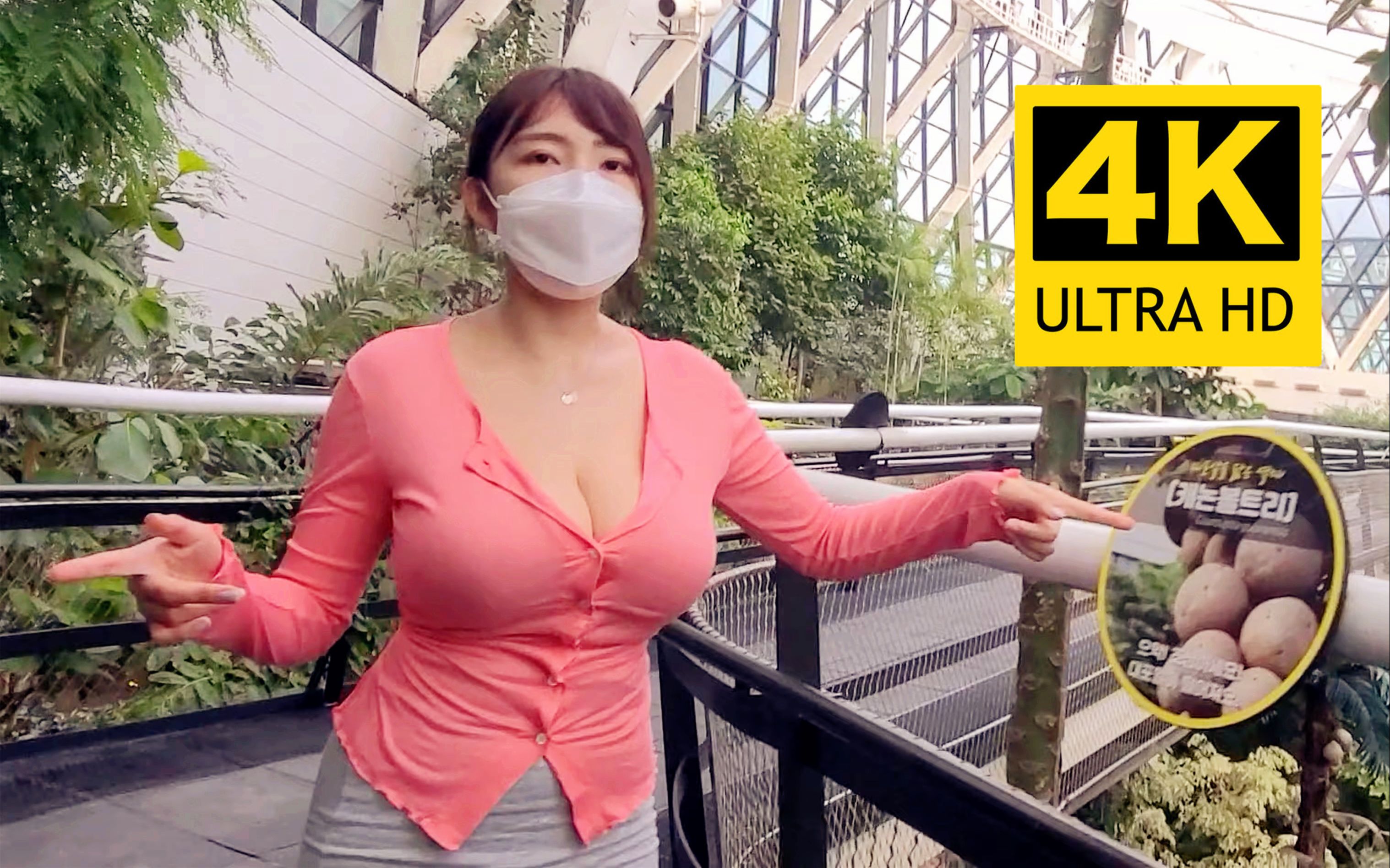 【4K Vlog】大姐姐带你游览首尔室内植物园, 和她一起欣赏美丽的植物吧 / Velvet Tube / 机翻中文