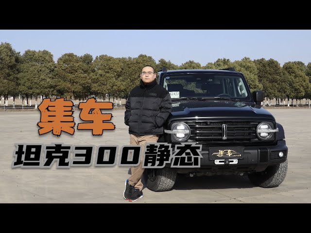 【集车】坦克300静态体验