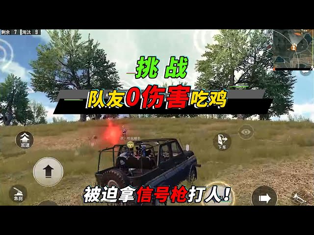 和平精英: 挑战让队友0伤害吃鸡,队友无奈只能拿信号枪打人!【突击手蜜獾】