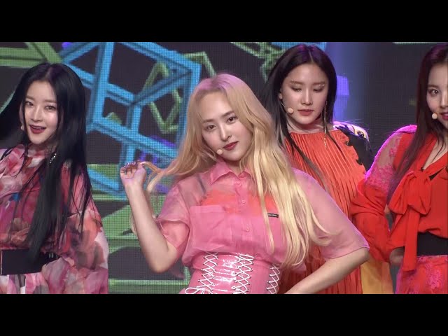 28 "carnival" bvndit