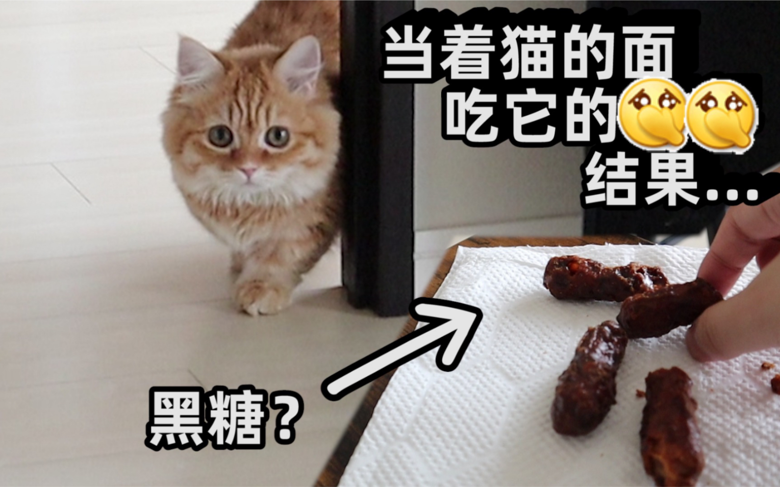 当着猫的面把它的……吃下会怎么样? 整蛊猫咪