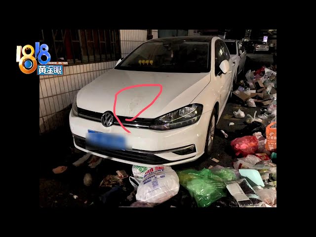 【1818黄金眼】投放点设置有争议,扔垃圾成了大问题