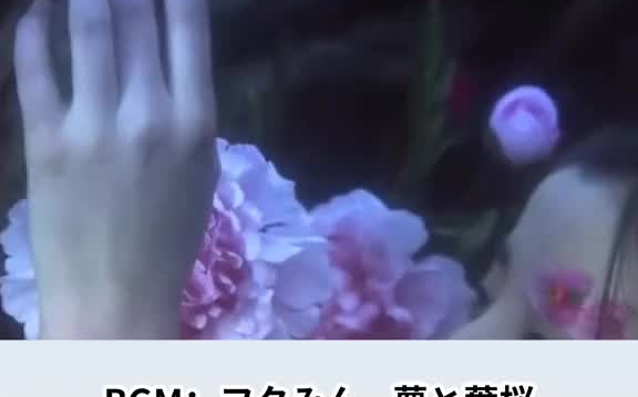 日本电影的和服女神总是让人惊艳。