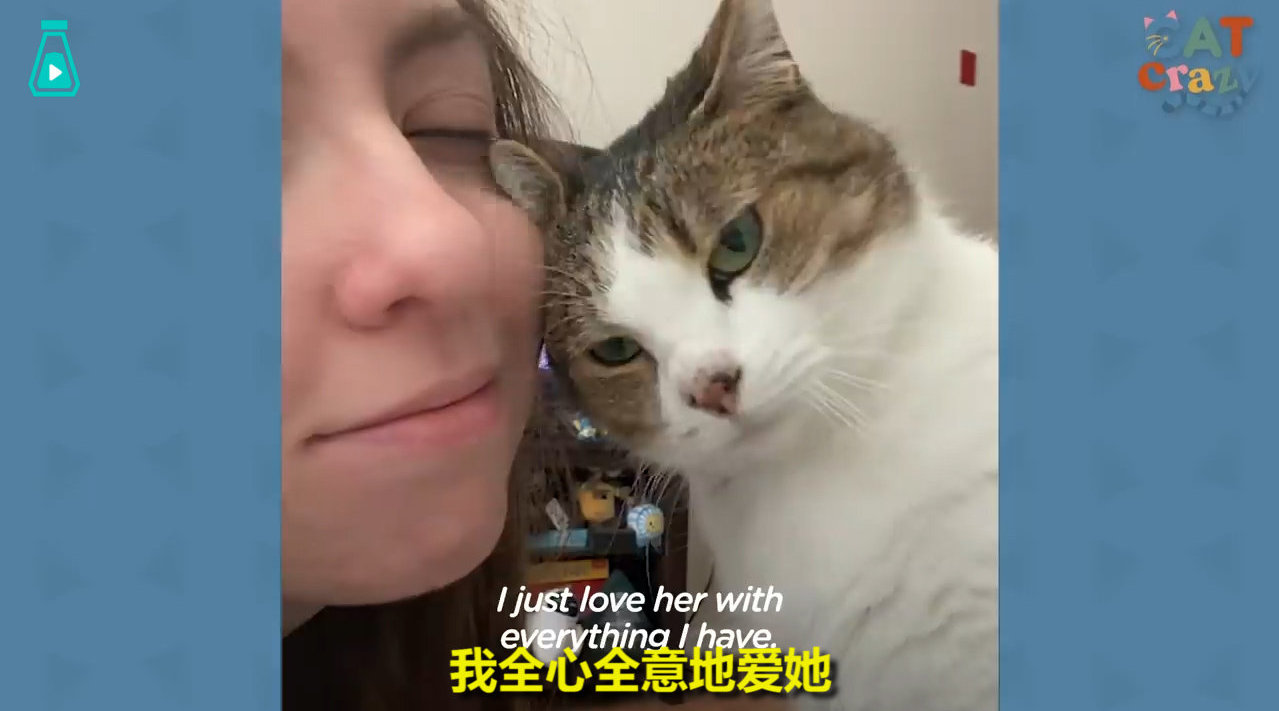 小姐姐从救助中心收养了一只老猫咪...