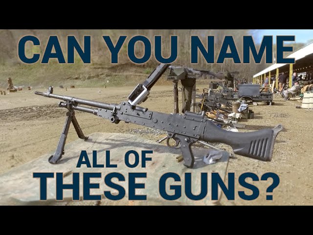 can you name all of these guns?