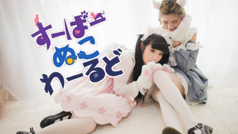 【南宫心璇&母后】★超级猫世界~☆【各种意外抱歉QAQ】