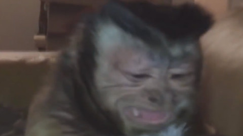 其实不好笑