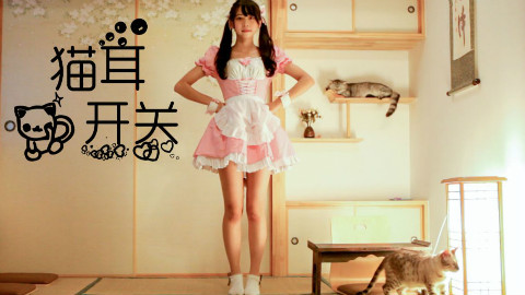 【七七七】猫耳开关(^・ω・^ )全程盯喵……