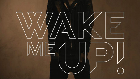 Avicii - Wake Me Up (官方视频)