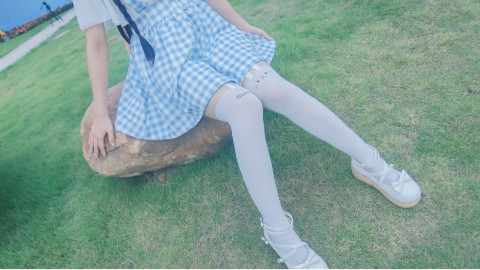 【阿叶君】您的Rabbit已到货(Y。•ㅅ•。Y)